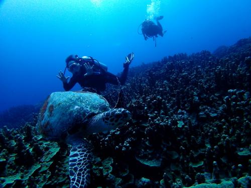 サイパン 体験ダイビング