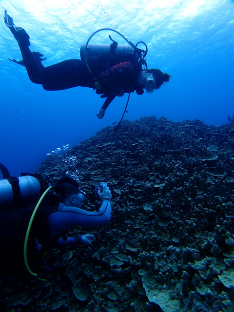サイパン ダイビング