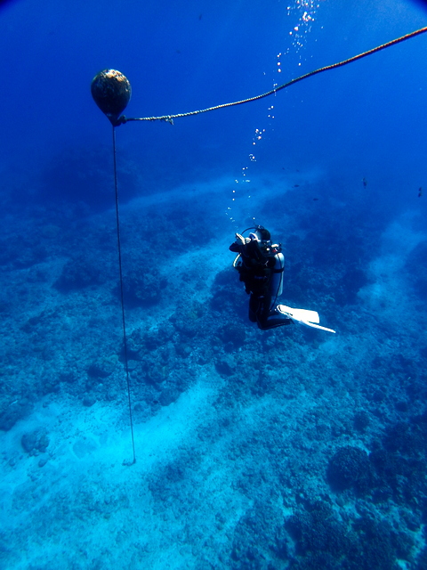 サイパン ダイビング ライセンス