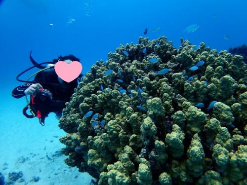 サイパン ダイビングショップ