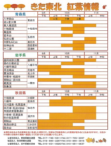 紅葉情報２０１５