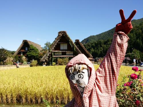 秋の旅行は白川郷で決まり◎ １