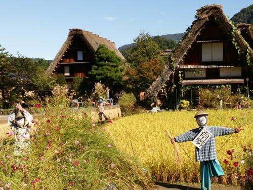 秋の旅行は白川郷で決まり◎ ２