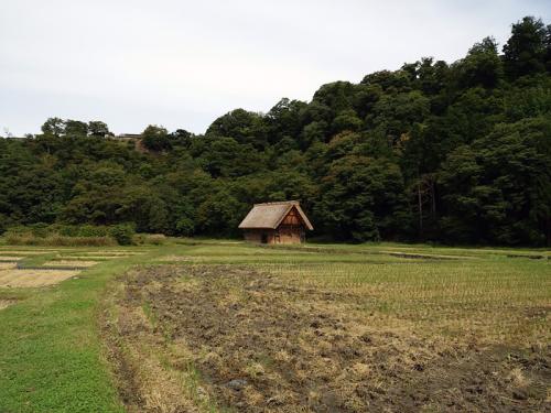 秋の旅行は白川郷で決まり◎ ５