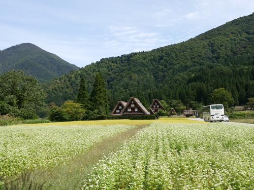 秋の旅行は白川郷で決まり◎ ９