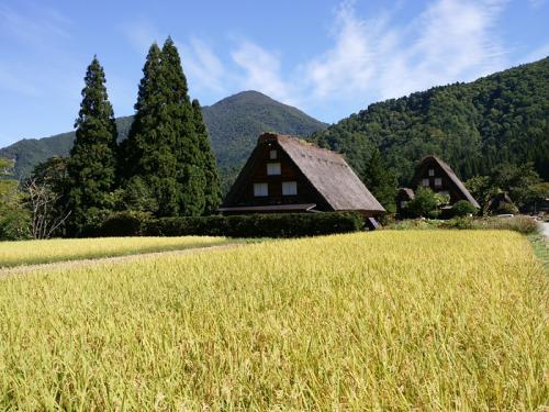 これからのシーズン秋はたくさんの色彩９