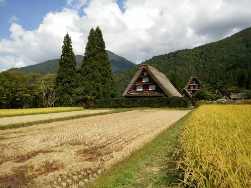 白川郷 稲刈りの後・・・・４