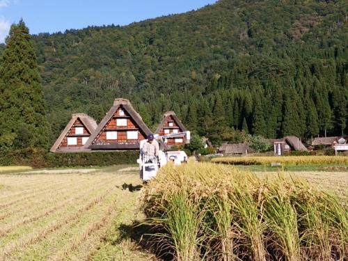 白川郷 稲刈りの後・・・・5