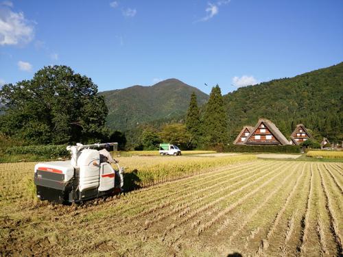 白川郷 稲刈りの後・・・・６