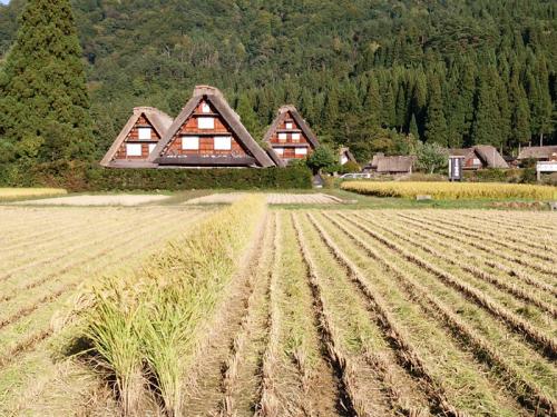 白川郷 稲刈りの後・・・・8