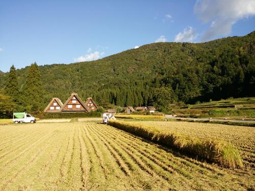白川郷 稲刈りの後・・・・9