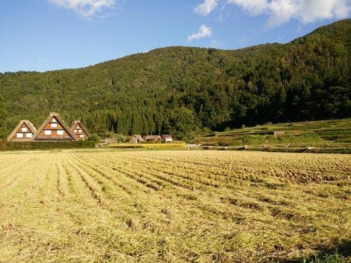 白川郷 稲刈りの後・・・・10