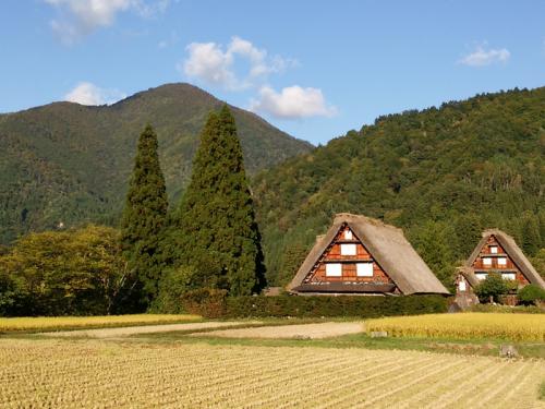 白川郷 稲刈りの後・・・・１１