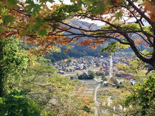 紅葉が美しい白川郷を満喫！１