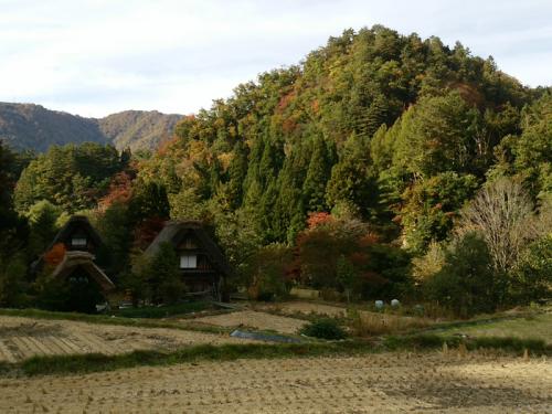 紅葉が美しい白川郷を満喫！３