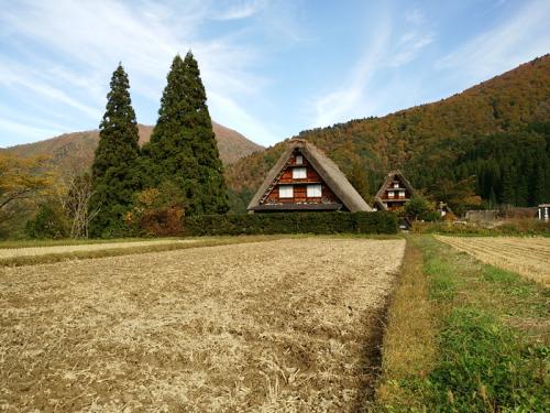 紅葉が美しい白川郷を満喫!5