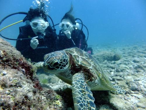 サイパン ダイビングショップ