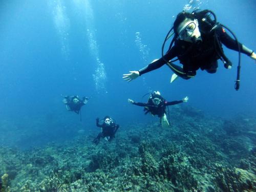 サイパン ダイビング ライセンス