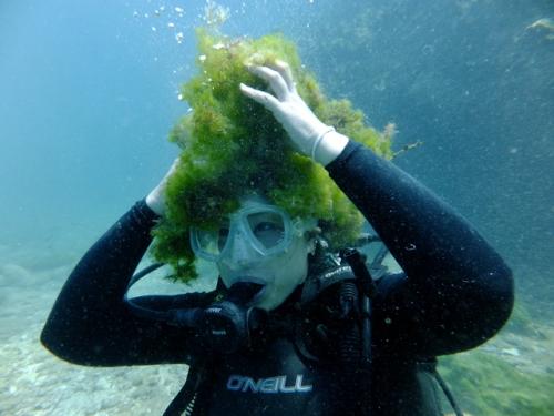 サイパン ダイビング