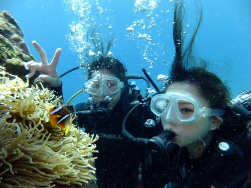 サイパン 体験ダイビング