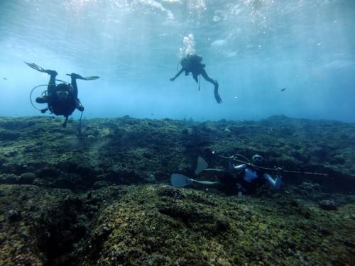 サイパン ダイビング