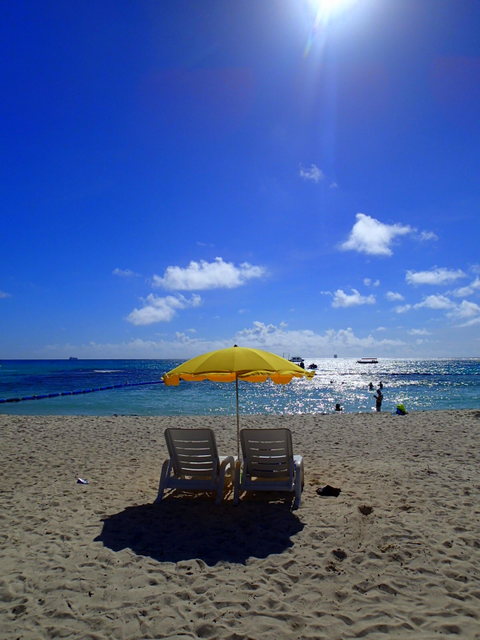 サイパン ダイビング ライセンス