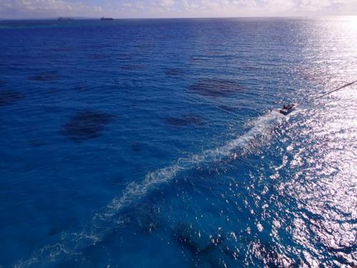 サイパン ダイビング