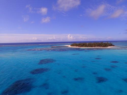 サイパン ダイビング