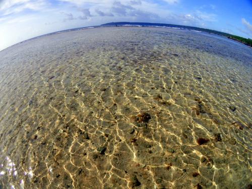 サイパン ダイビング