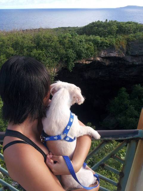 サイパン ダイビング ライセンス