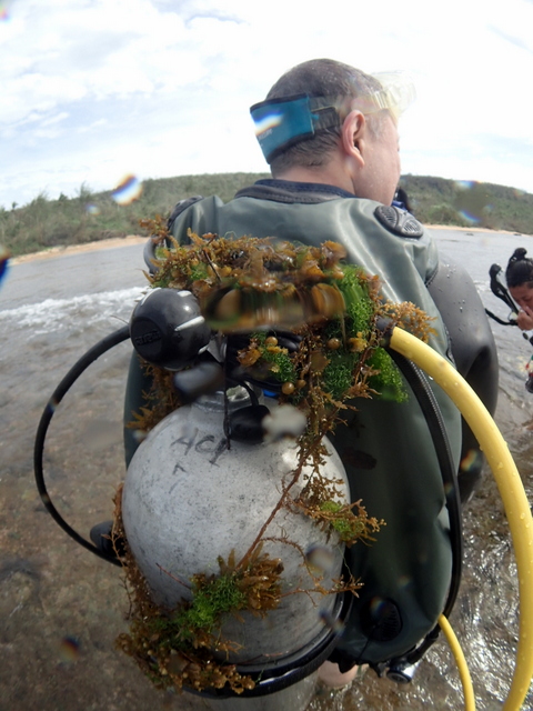 サイパン ダイビングショップ