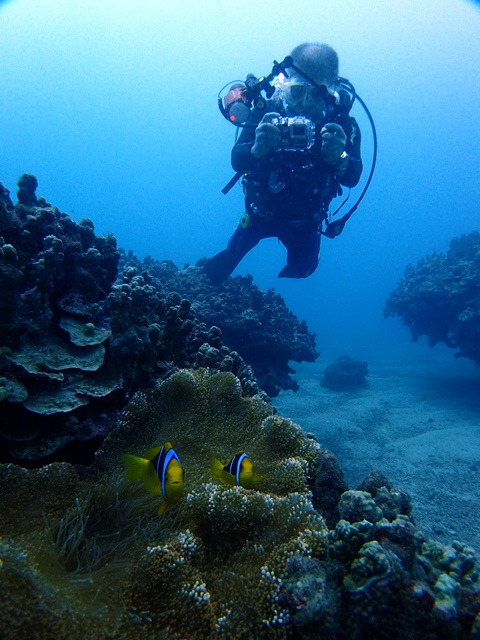 サイパン ダイビング