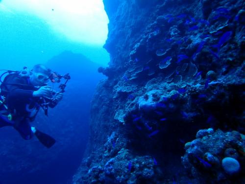 サイパン ダイビング