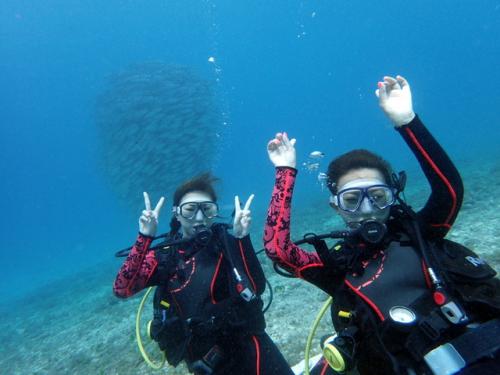 サイパン ダイビング ライセンス