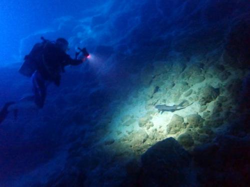 サイパン ダイビング