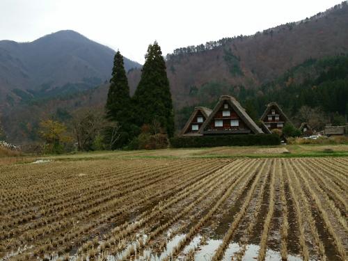 11月の連休は白川郷へ 8