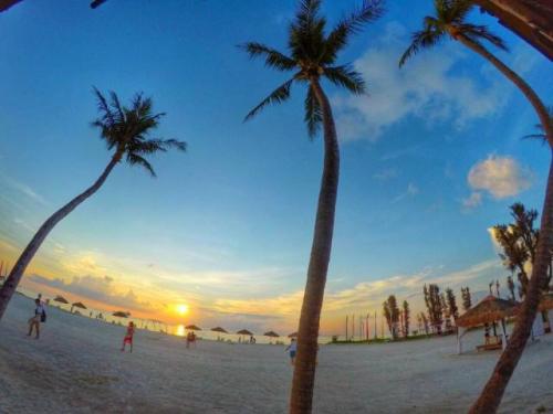 サイパン ダイビング