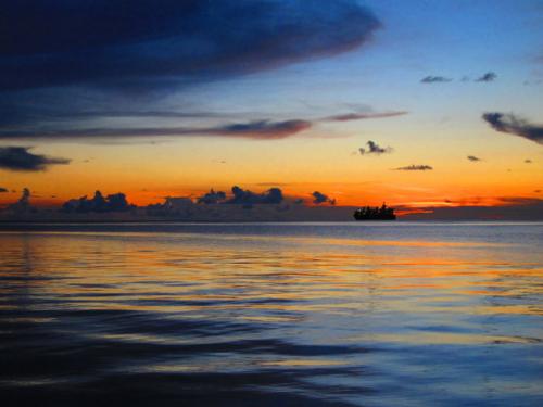 サイパン ダイビング ライセンス