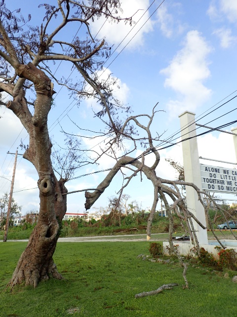 サイパン ダイビング ライセンス