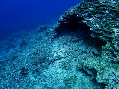 サイパン ダイビング