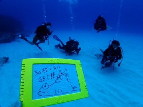 サイパン 体験ダイビング