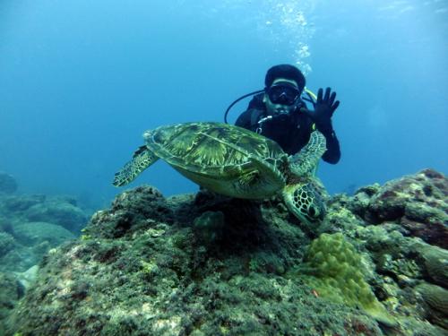 サイパン 体験ダイビング