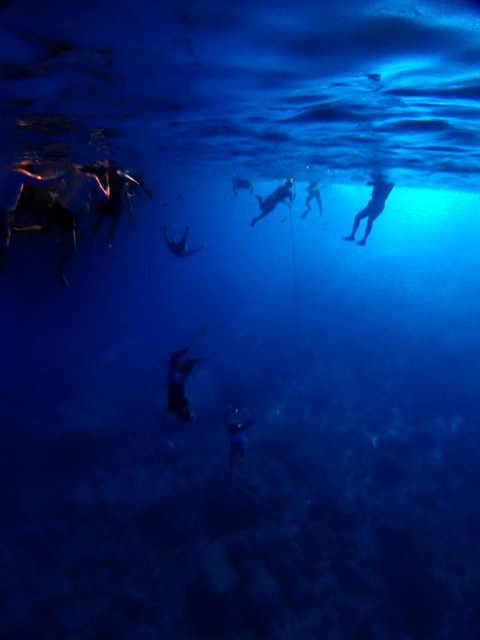 サイパン 体験ダイビング