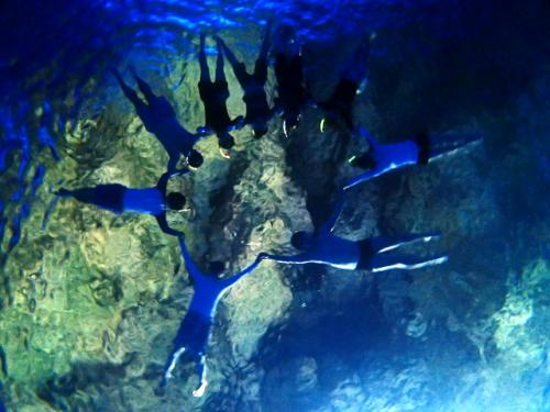 サイパン ダイビングショップ