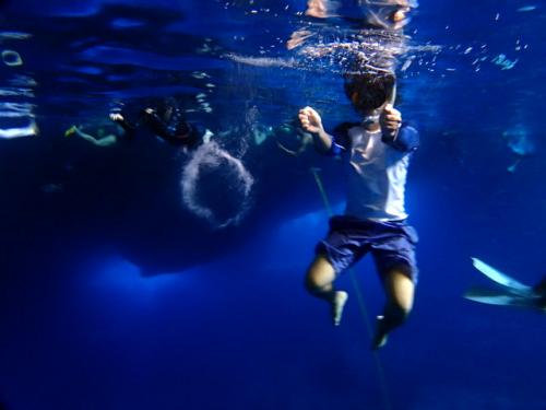 サイパン ダイビング