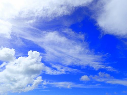 サイパン ダイビング ライセンス