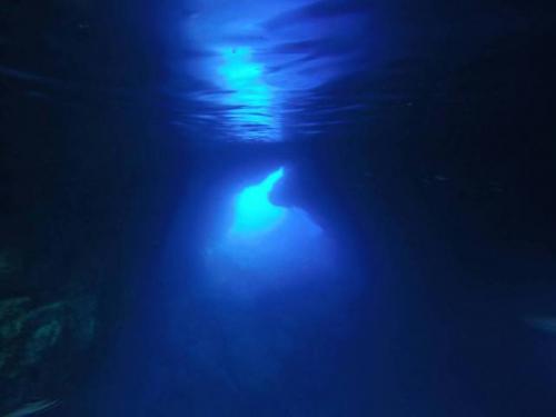 サイパン ダイビングショップ