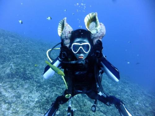 サイパン ダイビングショップ