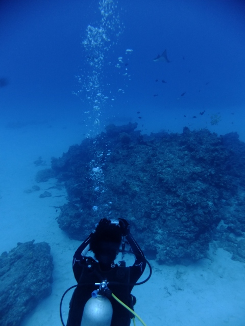 サイパン ダイビング