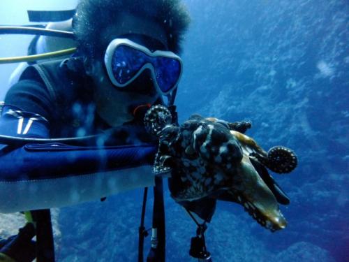 サイパン ダイビング ライセンス